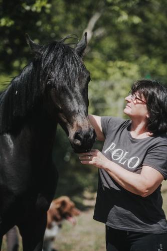 Tiere in der Ferienwohnung oder in der Nähe