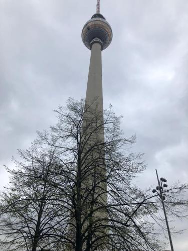 a tall tower with a tree in front of it at A&C Bergen in Luckau