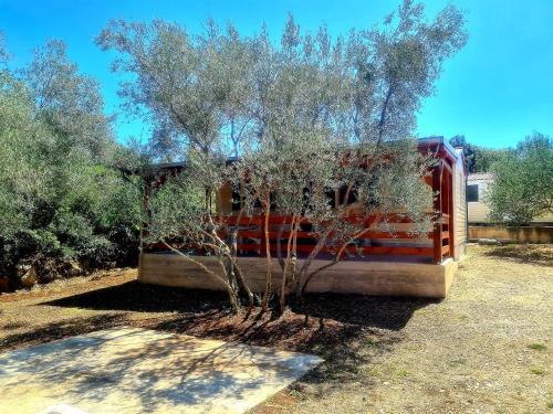 Gabi Mobile home – Photos 4