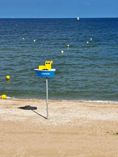 Studio chic, hyper centre, 4 minutes de la plage – Photos 3