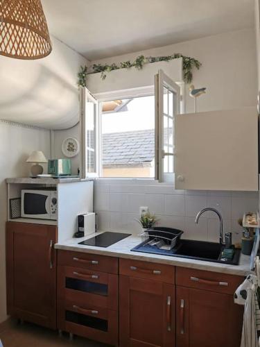 une cuisine avec un évier et un micro-ondes dans l'établissement Studio chic, hyper centre, 4 minutes de la plage, à Cabourg