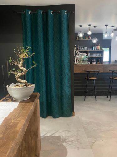 a green shower curtain with a potted plant in a room at Fasthotel Mont de Marsan in Mont-de-Marsan