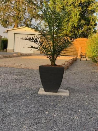 a plant in a black pot sitting on a block at Gîte Au Crépuscule du Belvédère in Dompierre-Becquincourt