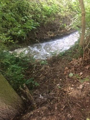 a small stream of water on a dirt road at Apartmán Pod borovicí in Kovalovice