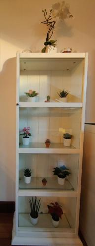 a white shelf with potted plants on it at El Cielo de Fomento in Gijón