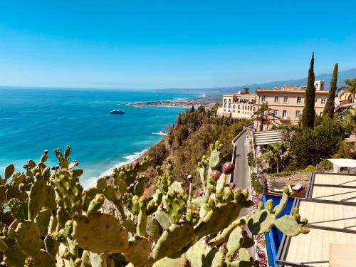 タオルミーナにあるDon Diego Luxury Roomsの海辺の丘の上のサボテン