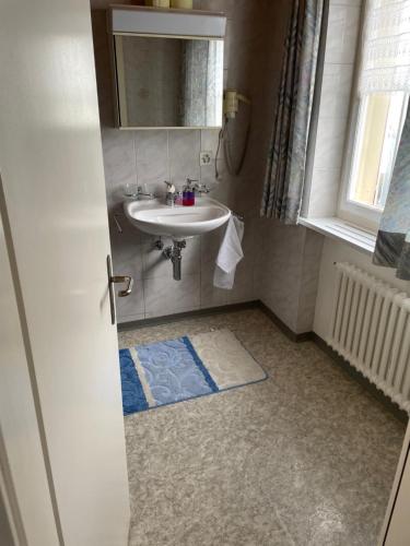 y baño con lavabo y espejo. en Hotel Seestern en Berlingen