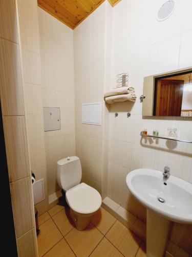 a bathroom with a toilet and a sink at garni Hotel ASAS*** in Most