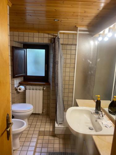 een badkamer met een toilet, een wastafel en een spiegel bij Pescocostanzo chalet in Pescocostanzo