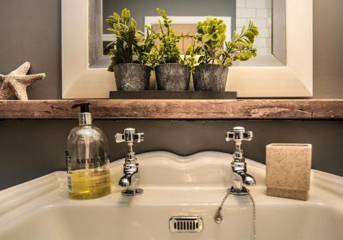 a bathroom sink with a bottle of soap and plants at Seahaven in North Berwick