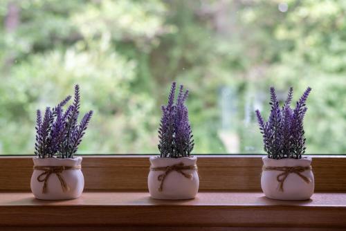 three vases filled with purple flowers sitting on a window sill at Vergi puhkemajad in Vergi