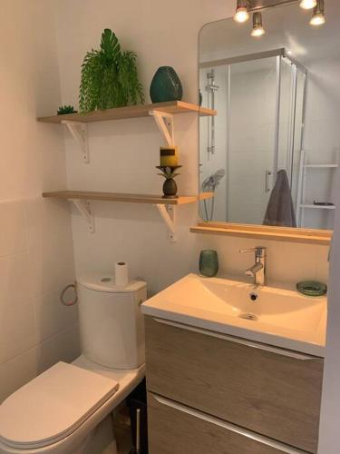 une salle de bain avec toilettes, lavabo et miroir dans l'établissement Charmant petit appartement proche du pic St loup, à Le Triadou