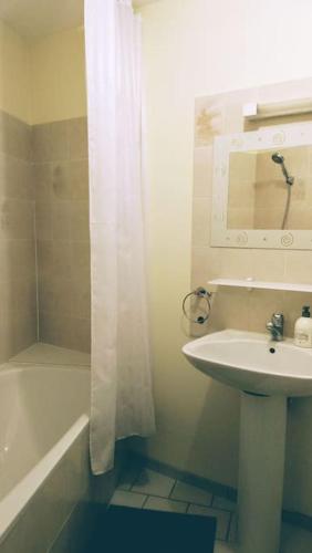 La salle de bains est pourvue d'un lavabo et d'un rideau de douche blanc. dans l'établissement Zoo Zen 6 pers, au coeur de St Aignan, à Saint-Aignan