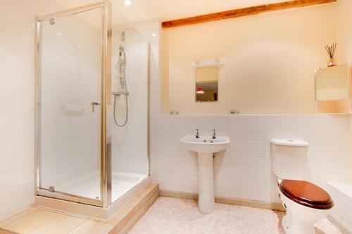 a bathroom with a shower and a toilet and a sink at Pandy Barn Berriew in Welshpool