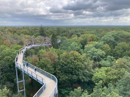 a walkway in the middle of a forest with people on it at Grimm´s Berlin Potsdam in Teltow