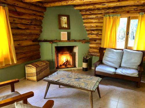 a living room with a couch and a fireplace at Cabaña en Parque Nacional Los Alerces in Esquel