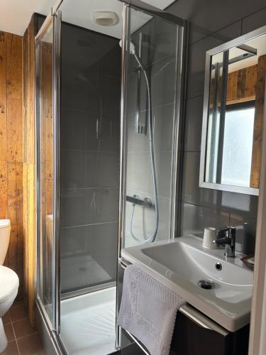 a bathroom with a shower and a sink at Papagayo in Saint-Aubin-sur-Mer