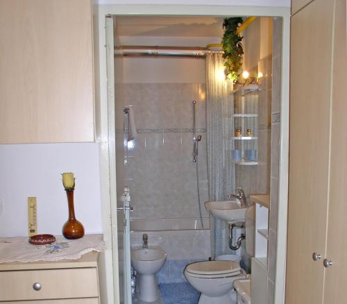 La salle de bains est pourvue d'une douche, de toilettes et d'un lavabo. dans l'établissement Apartment Iva Tour As with balcony in Ljubljana, à Ljubljana