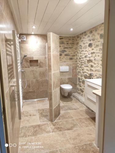 une salle de bain avec une douche, des toilettes et un lavabo dans l'établissement La Colline d'Eyzahut Gites en Drôme Provençale, à Pont-de-Barret