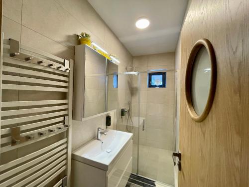 un baño con lavabo y espejo en VILA DOMOVINA, en Tatranská Lomnica