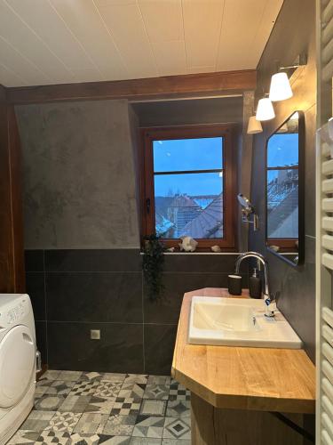 ラ・プティット・ピエールにあるLes appartements d'estelleのバスルーム(洗面台、トイレ付)、窓が備わります。
