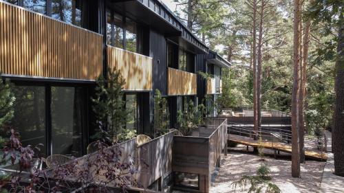 a house in the woods with black walls and windows at BOX ART ALPINO in Navacerrada