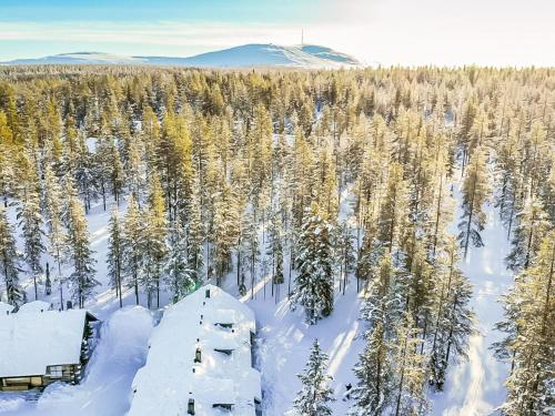 an aerial view of a house in a snow covered forest at Holiday Home Teerentie - fun - dasher by Interhome in Äkäslompolo