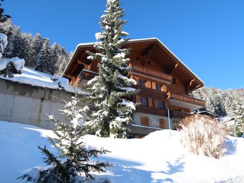 a snow covered building with a tree in front of it at Apartment La Tour d'Antheme by Interhome in Champéry