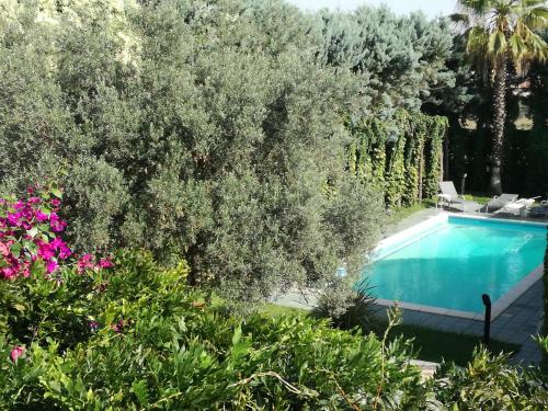 a swimming pool in a yard with trees and flowers at CASA LIBERTINI in Grammichele
