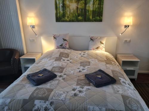 1 dormitorio con 1 cama con 2 almohadas en Harz Pension en Friedrichsbrunn