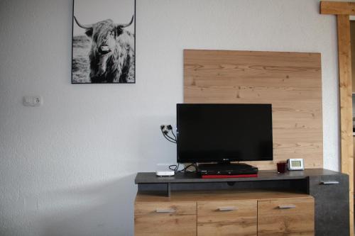 TV a/nebo společenská místnost v ubytování Mühlbach Alpendomizil II