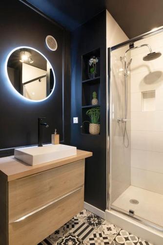 une salle de bain avec un lavabo et une douche avec un miroir dans l'établissement Le Coquet de Simon, à Nancy
