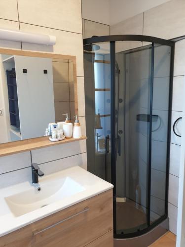 uma casa de banho com um lavatório e um chuveiro em Chambres d'hôtes dans propriété rurale em Béziers