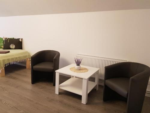 two chairs and a table in a room at Viesu māja Vālodzes in Mārkalne