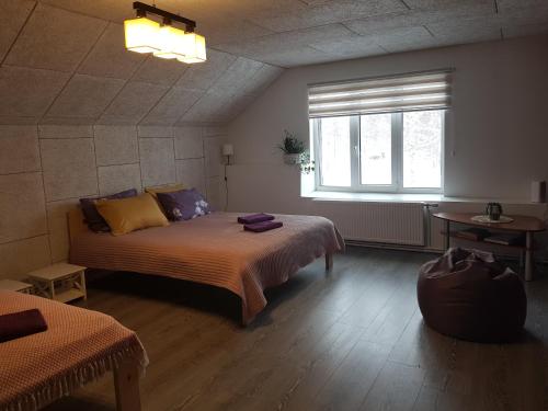 a bedroom with two beds and a window at Viesu māja Vālodzes in Mārkalne