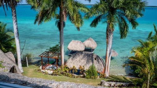 a view of the ocean from a resort with palm trees at Agave-Blue in Bacalar