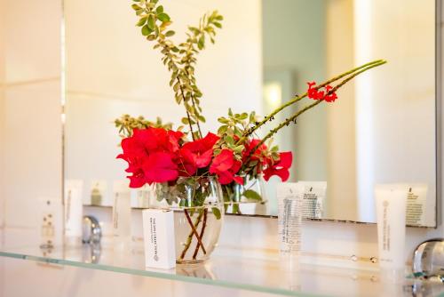 eine Vase mit roten Blumen auf einer Theke in der Unterkunft Hamlet Oasis Resort in Kralendijk