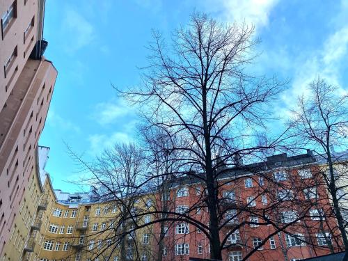 a tree with no leaves in front of a building at Bohemian studio in Etu-Töölö in Helsinki