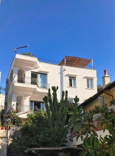 a white building with a cactus in front of it at Villa Silia in Capri