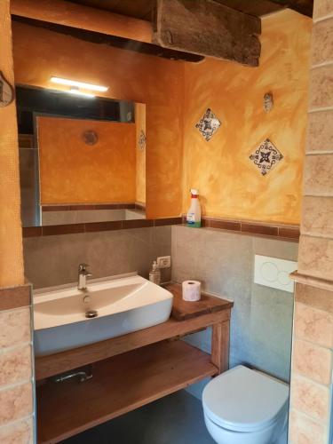 a bathroom with a sink and a toilet at Azienda del Lupo - Caravan mit Ambiente in Bagnone