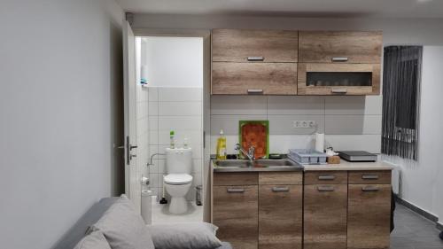 a bathroom with a sink and a toilet in it at HT Apartman in Mezőkövesd
