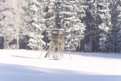 a wooden tower in the snow with snow covered trees at Forsthaus Luchsenburg in Ohorn