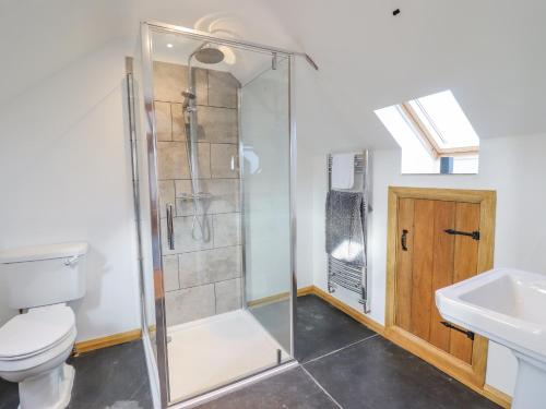a bathroom with a shower and a toilet and a sink at Cwmwr in Pen-y-bont-fawr