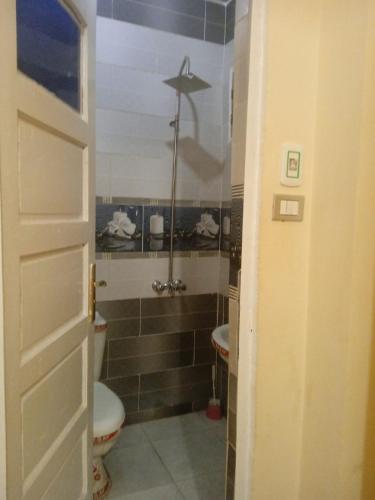 アスワンにあるNiLe ViEW RANA NUbian Guest HOUESのトイレ、洗面台、シャワー付きのバスルーム