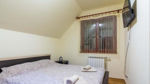 - une chambre avec un lit, une télévision et une fenêtre dans l'établissement Apartman Adzic, à Zlatibor