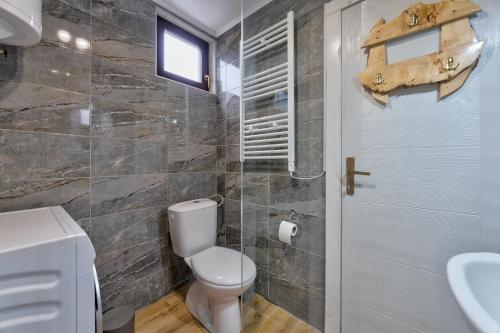 a bathroom with a toilet and a sink at Vila Deniri in Zlatibor