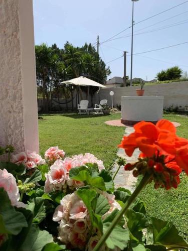 Villa Ale – Photos 2