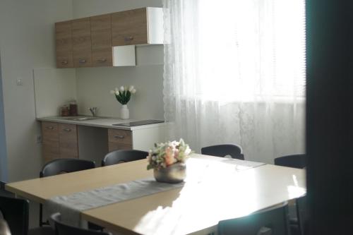 Dapur atau dapur kecil di Apartman ERIK