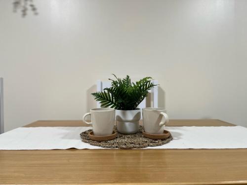 a table with three coffee cups and a potted plant at west walk house in Nottingham