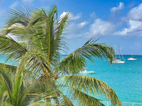 a palm tree in front of the ocean with boats at Kokonut Sea view Beach Front Pool Central Garage in Grand Case
